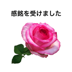 Language of flowers(Japanese)