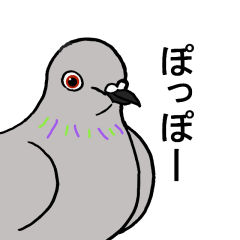 鳩のつぶやき