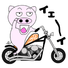 The pig began to ride a motorcycle 4rd