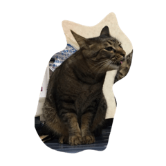 ripkun