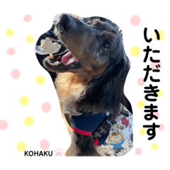 kazuki_20210323164033