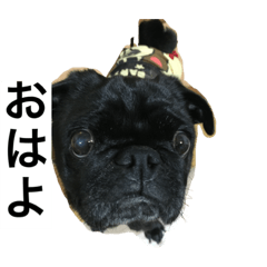 cherry_20210323152952