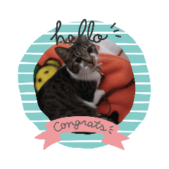 cocoa_20210323160053