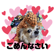 pokopoko_20210323171550