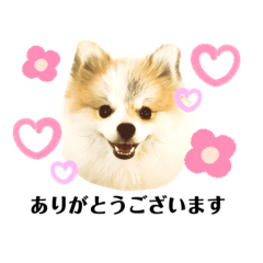 Hanamama_20210323163516
