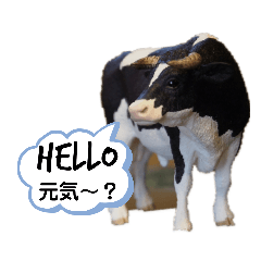 hana_20210323213739