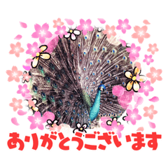 鳥獣戯画的なスタンプ