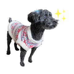 NANAMI_20210324012820