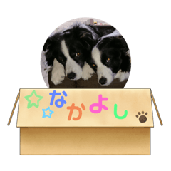 SEIRA_20210324082632