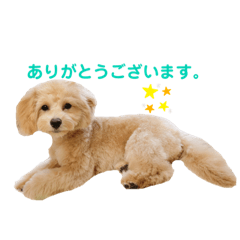 Ayumi_20210323201223