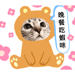 貓貓們的不實用貼圖第一彈喔