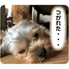 Yamada_20210324105046