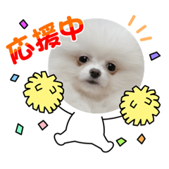 Arisa_20210323231017