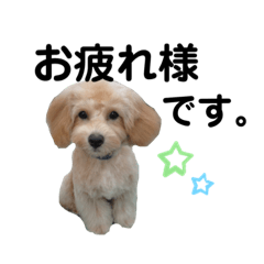 Ayumi_20210324001115