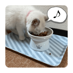 natsumi_20210324015053