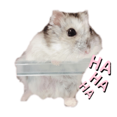 asuka_20210324040814