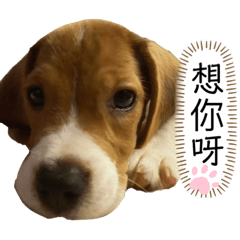 ☆ Little Billy ☆