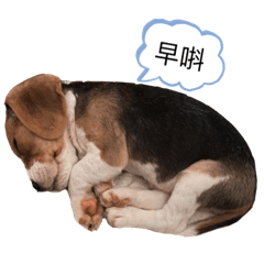 ☆ Little Billy ★