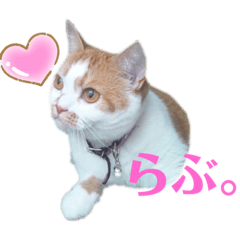 risa_20210324112905