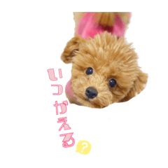 yuka_20210324021005