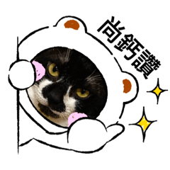 黑白可愛小貓咪