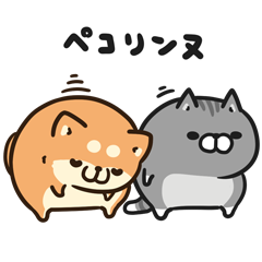 Plump Dog&Cat×livedoor NEWS