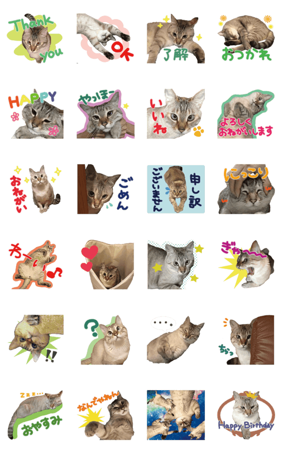 より目ねこゴエモンスタンプ Lineクリエイターズスタンプ Stamplist より目ねこゴエモンスタンプ Lineクリエイターズスタンプ Stamplist
