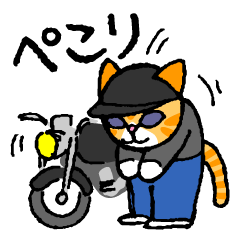 Tabby cat rider.Enjoy motorcycles.