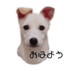 vivi_20210324074926