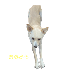 vivi_20210324093352