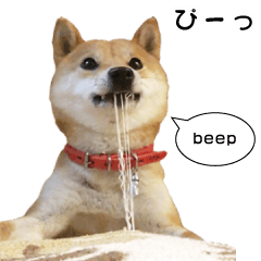 柴犬のオノマトペ（擬音）スタンプ