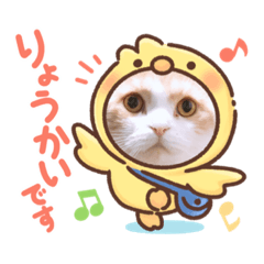 hana_20210324132200