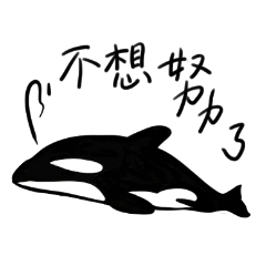 海洋生物-虎鯨歐卡