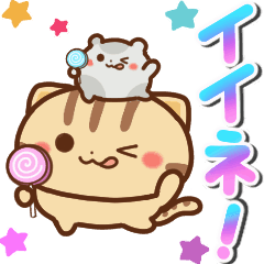 Moving cat Ham 2