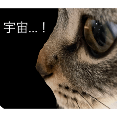 Rei_20210324155141