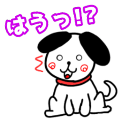 Dog's daily life (3)