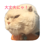 Burubon
