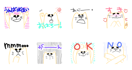 Eyebrows Mr.cat