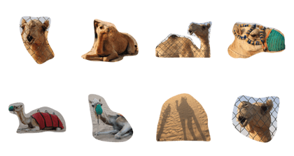 camel kun