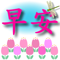 春鬱金香大字日常用語粉紅字