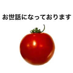 Tomatoes speak honorific language