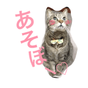 Misuke stamp