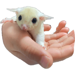 mizuki_20210324213506