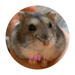 Cocoa_20210324214018