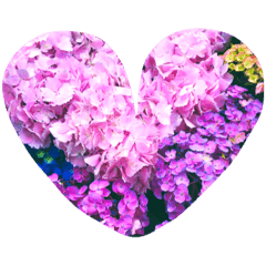 紫陽花 Line スタンプ Line Store 紫陽花 Line スタンプ Line Store