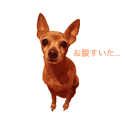 Minpin's Talk