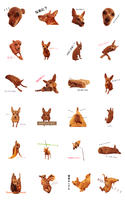 Minpin's Talk