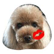 Pino Stamp 2