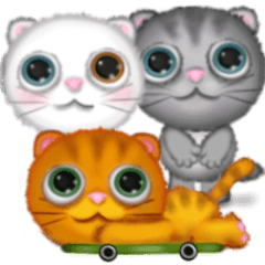 Big eyes cats