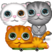 Big eyes cats